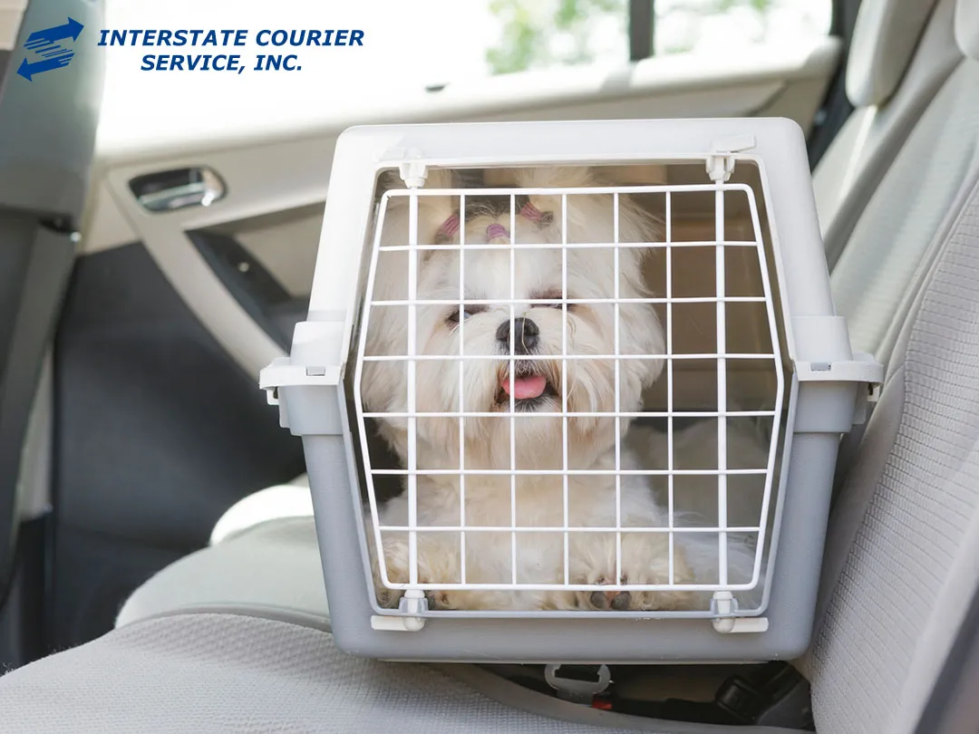The Comprehensive Guide To Live Animal Transport Services